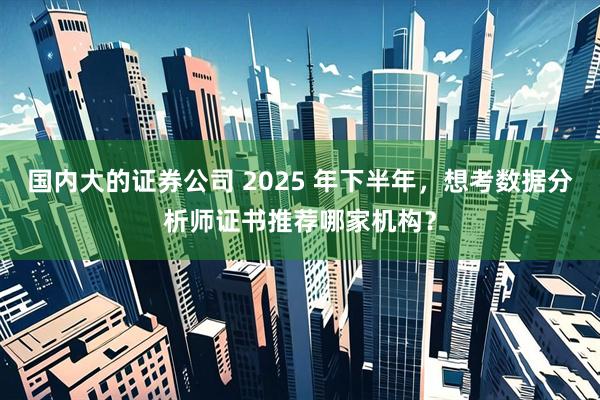 国内大的证券公司 2025 年下半年，想考数据分析师证书推荐哪家机构？