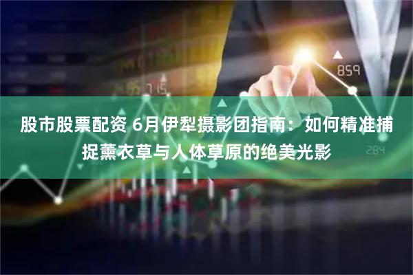 股市股票配资 6月伊犁摄影团指南：如何精准捕捉薰衣草与人体草原的绝美光影
